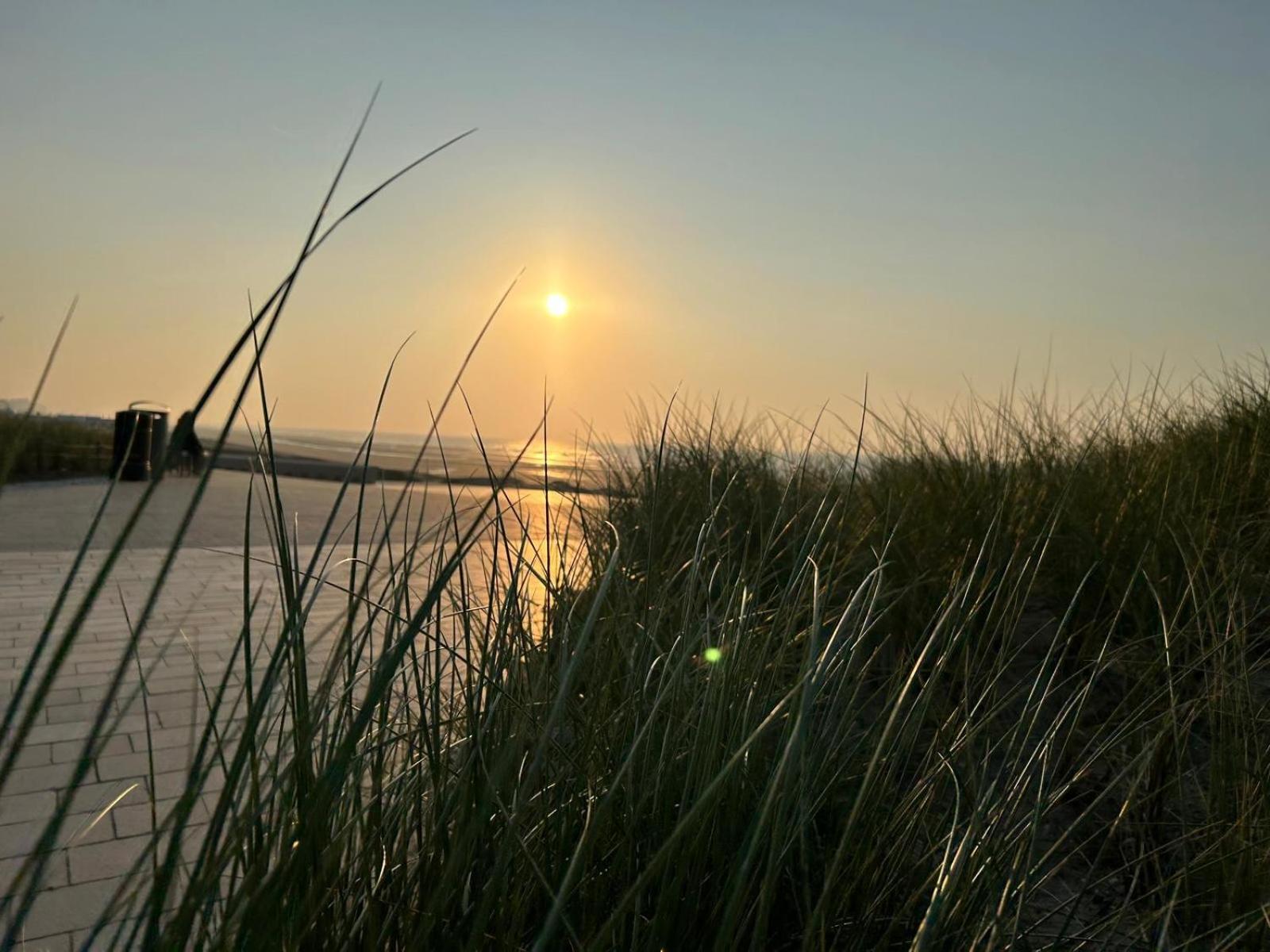 Middelbeach Middelkerke Eksteriør billede